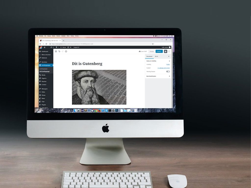 Gutenberg visuele wordpress editor