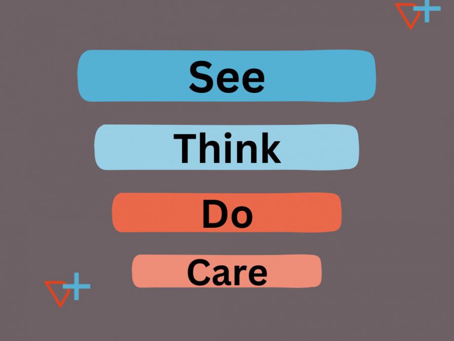 see, think, do, care model