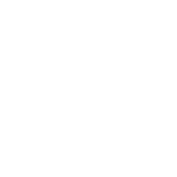 invoice white